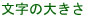 文字の大きさ